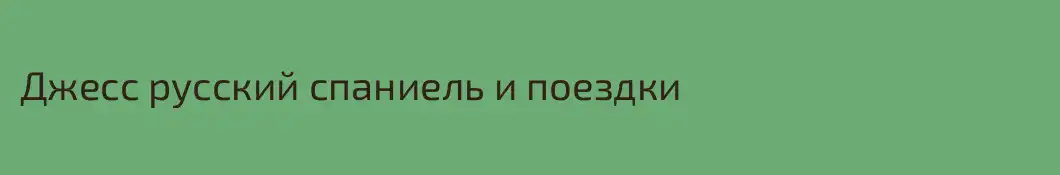 Джесс русский спаниель и поездки
